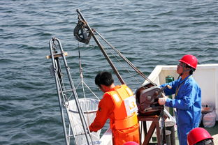 第一届全国海洋环境监测专业技术竞技大奖赛决赛闭幕