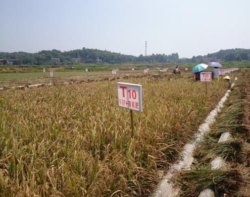 农业部环境保护科研监测所11日在湖南省湘潭市牵头成立国家农产品产地