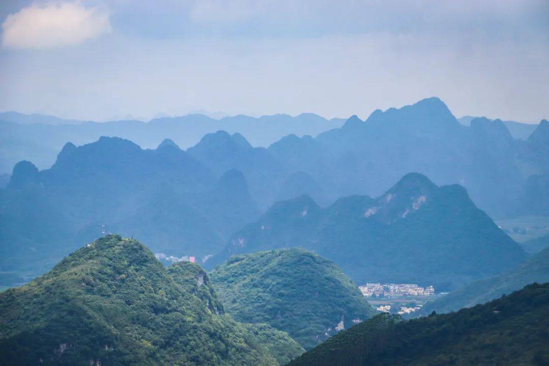 祝贺!南宁这些地方获评2024年广西森林旅游系列品牌“自然教育基地”称号