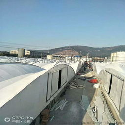 专业厂家加工制作玻璃钢污水池盖板防护盖板 ,枣强县衆信玻璃钢环保制品厂