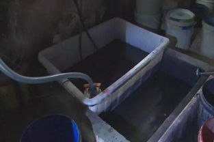 东莞纸制品厂偷排废水被查封，生态资源监测发出警示