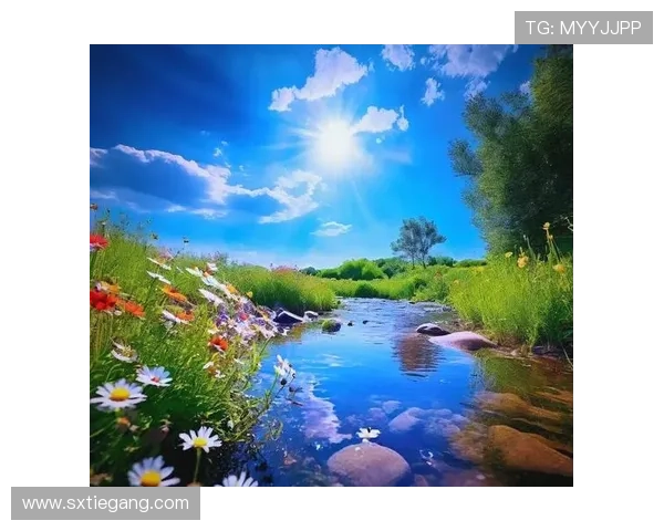 爱在阳光里:温暖、希望与生命的光辉 爱在阳光里:温暖、希望与生命的光辉